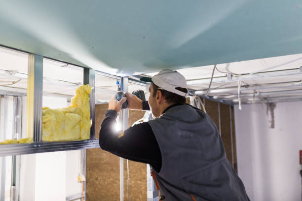Best Insulation for Specific Applications in Wallenuck Lake Estates, PA